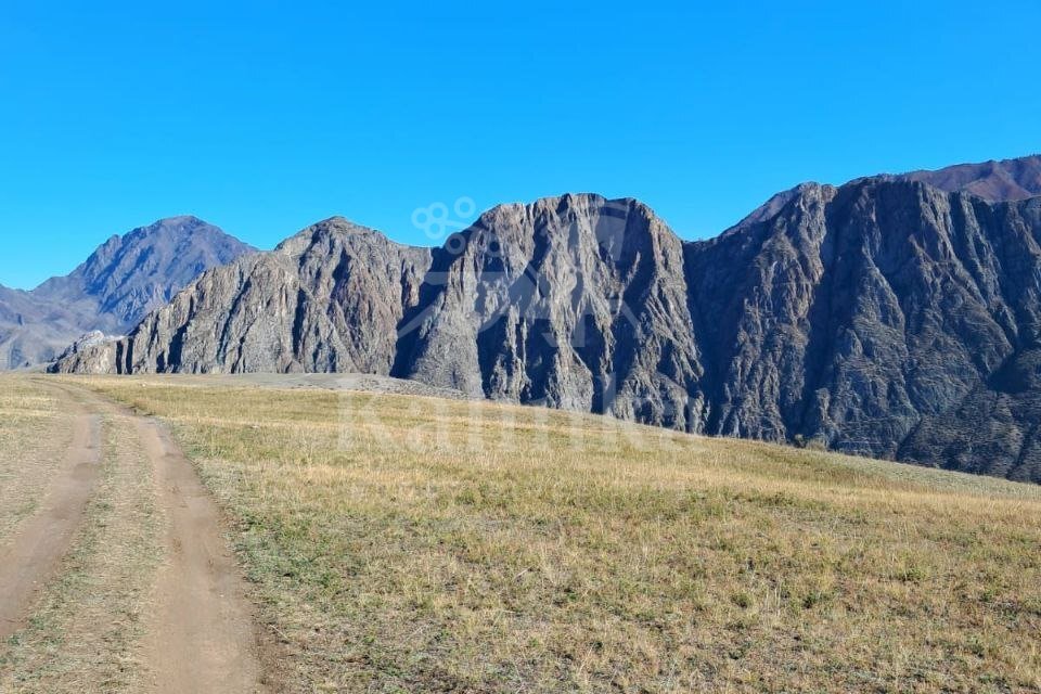 Онгудай, 800 м2, фото 4