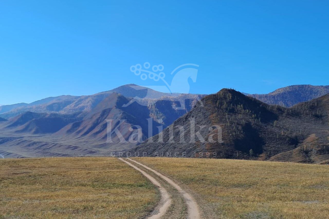 Онгудай, 800 м2, фото 2