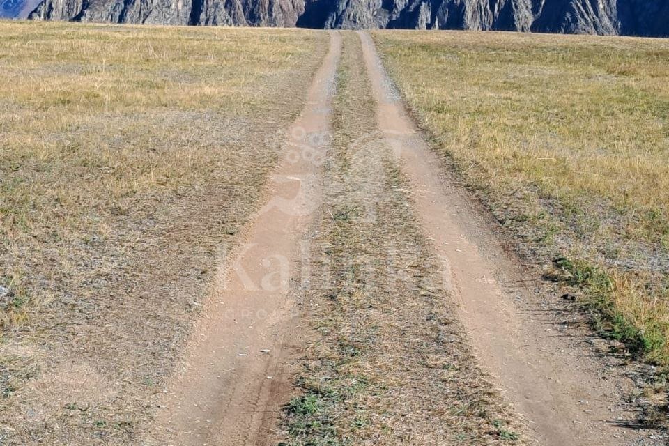 Онгудай, 800 м2, фото 3