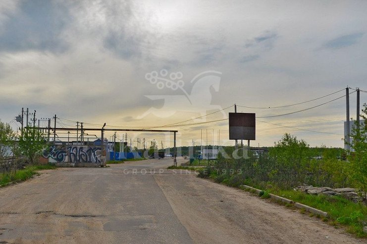 ЗУ Чехов 10 ГА, 98569 м2, фото 1