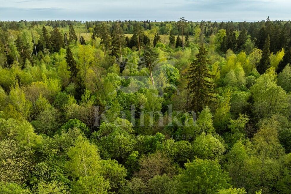 Парк Иславское, 11.3 м2, фото 1