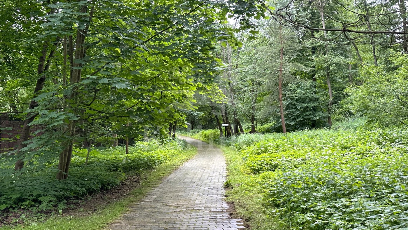 Сареево, 500 м2, фото 3