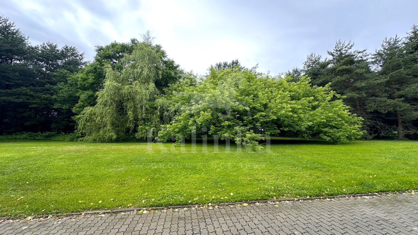 Сареево, 500 м2, фото 1