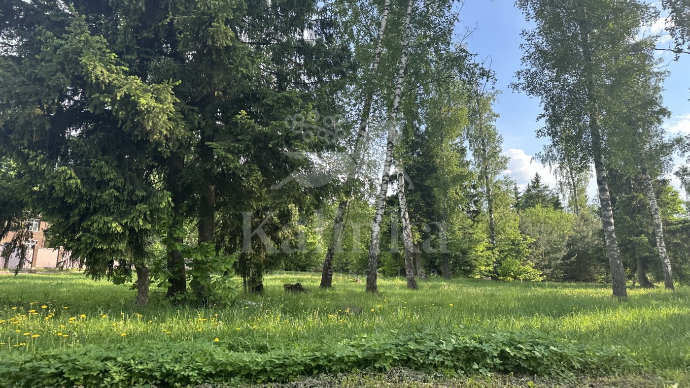 Шульгино, 60 м2, фото 3