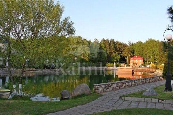 Лес ДСК Шульгино, 69.6 м2, фото 1