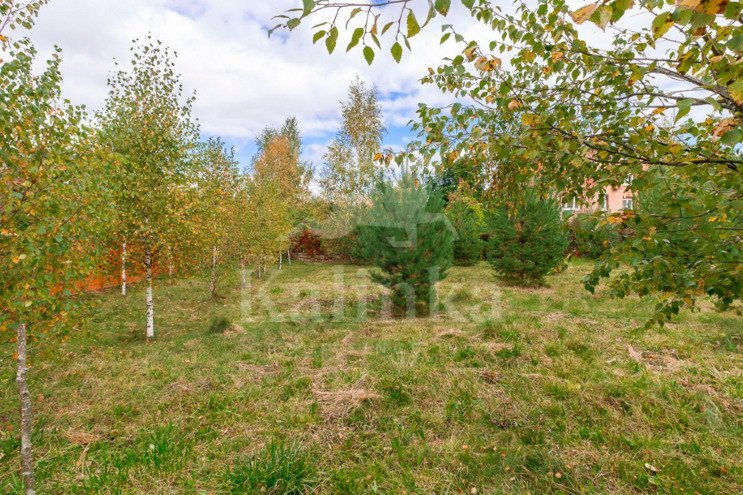 Лес ДСК Шульгино, 69.6 м2, фото 3