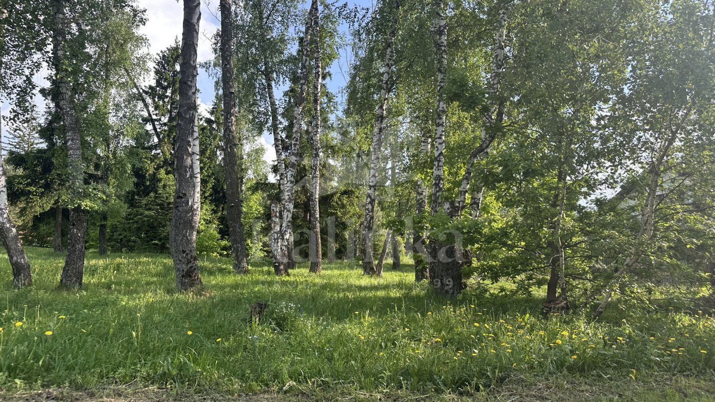 Шульгино, 60 м2, фото 1