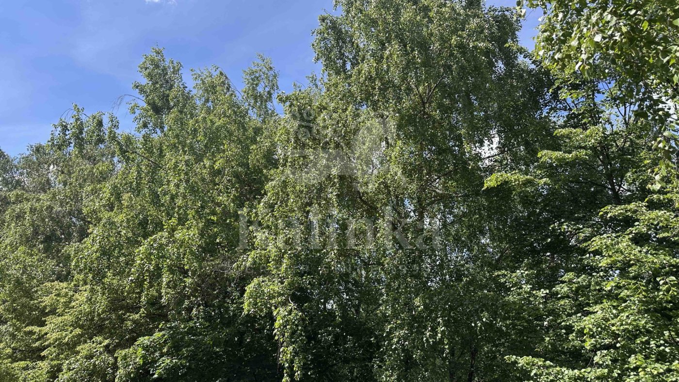 Шульгино, 60 м2, фото 4