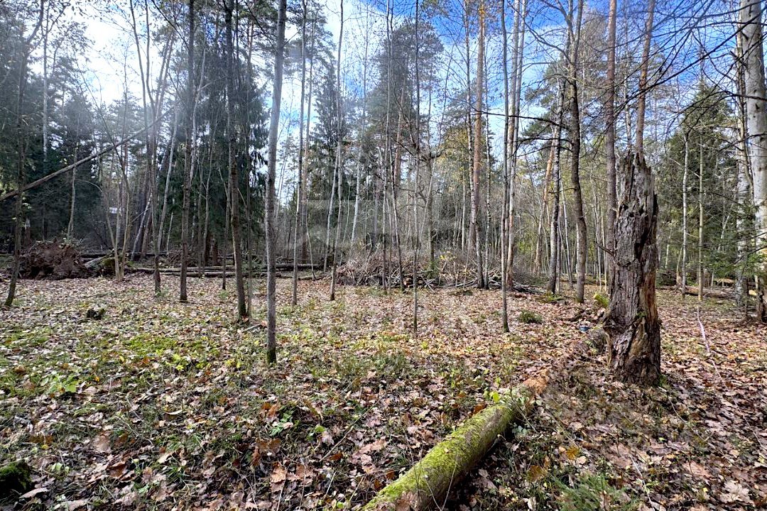 Саланг, 35 м2, фото 3