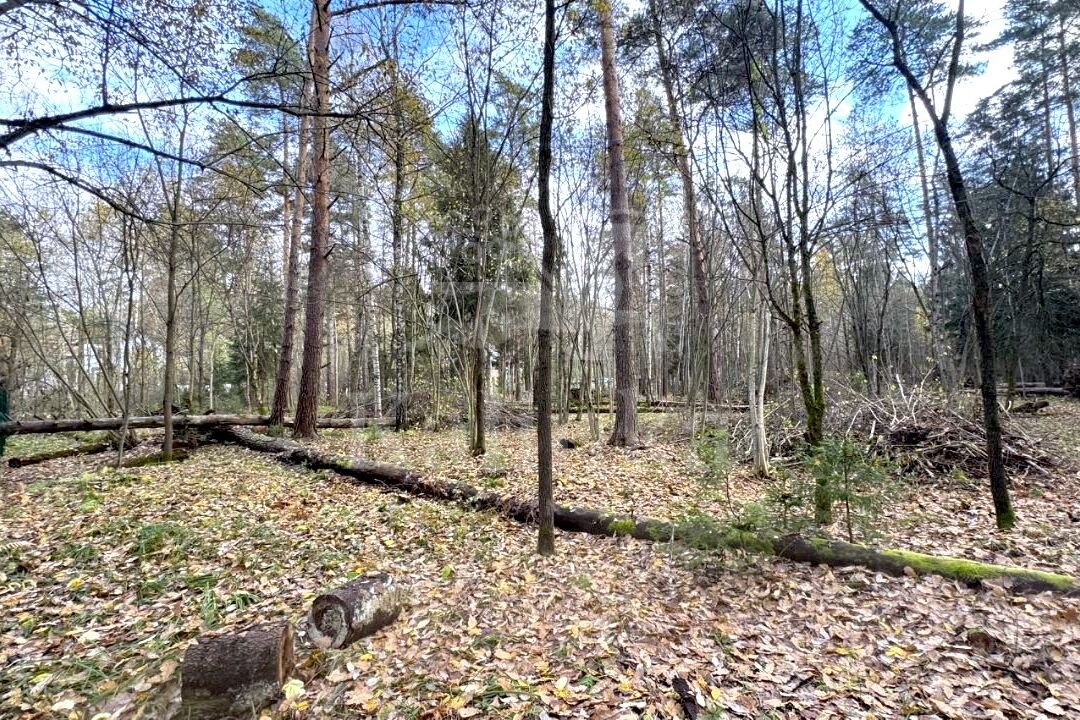 Саланг, 35 м2, фото 2