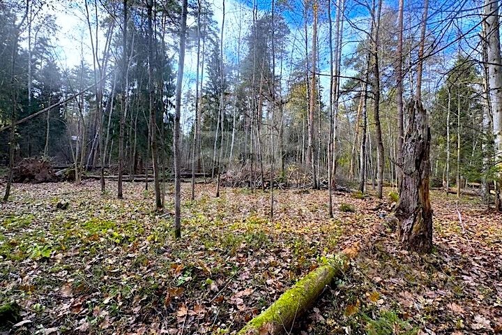 Саланг, 160 м2, фото 3