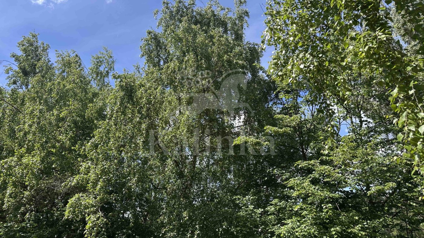 Веретея, 89.35 м2, фото 1