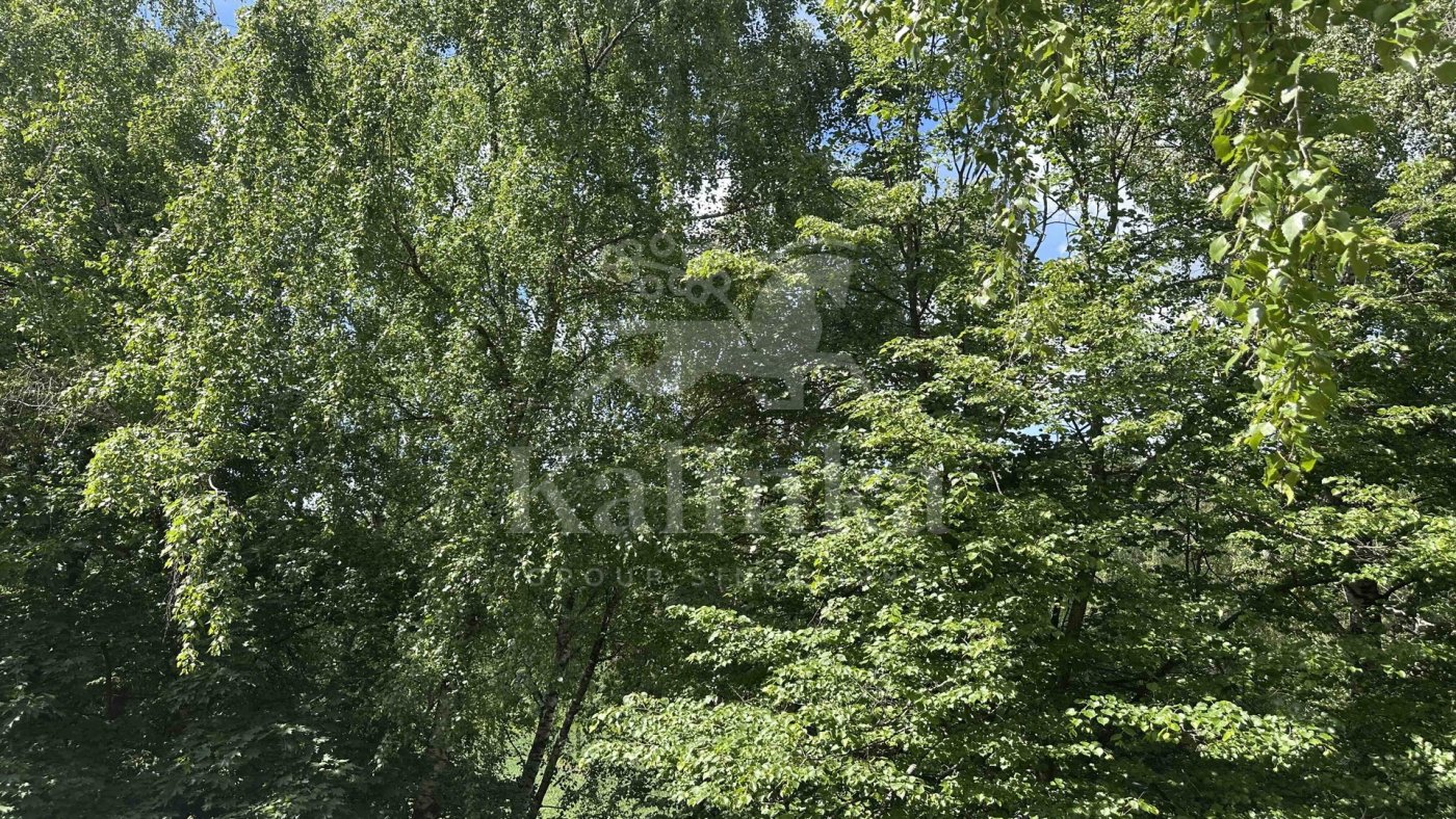 Веретея, 89.35 м2, фото 2