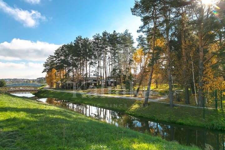 Бенилюкс, 30 м2, фото 3