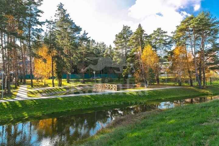 Бенилюкс, 30 м2, фото 2