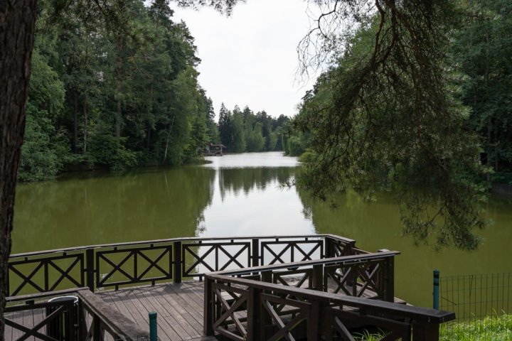 Грибово