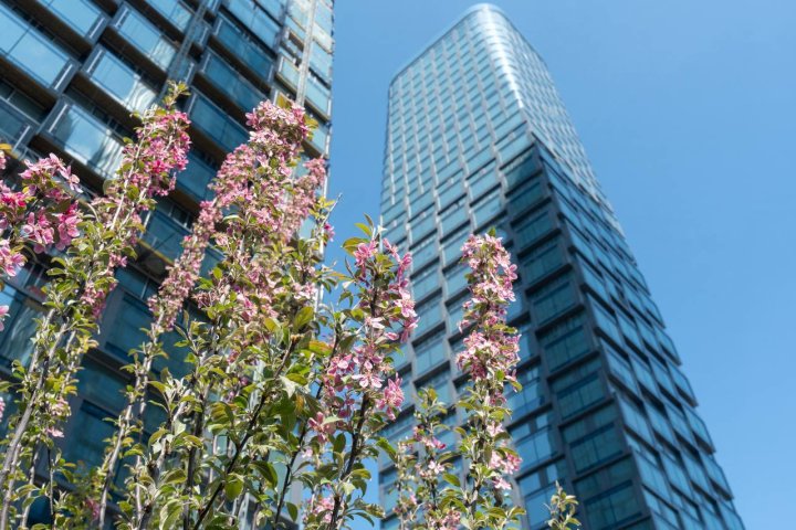новостройка 3-комнатная квартира 58 м 2 , 30 этаж — River Park Towers Кутузовский