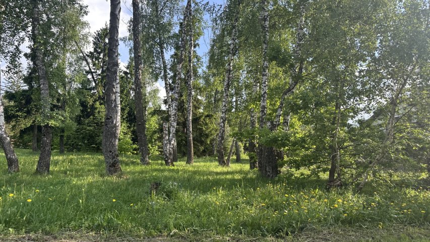 Участок 60 сот. — Шульгино