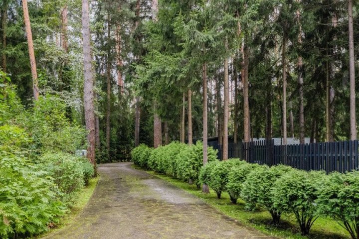 Участок 43 сот. — Новая деревня